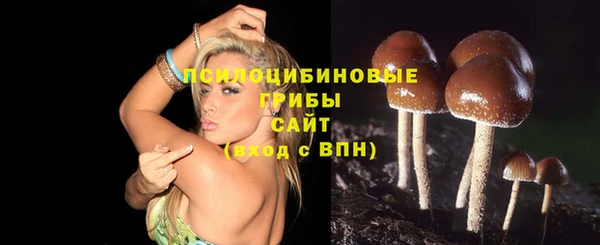 гидра Ростов